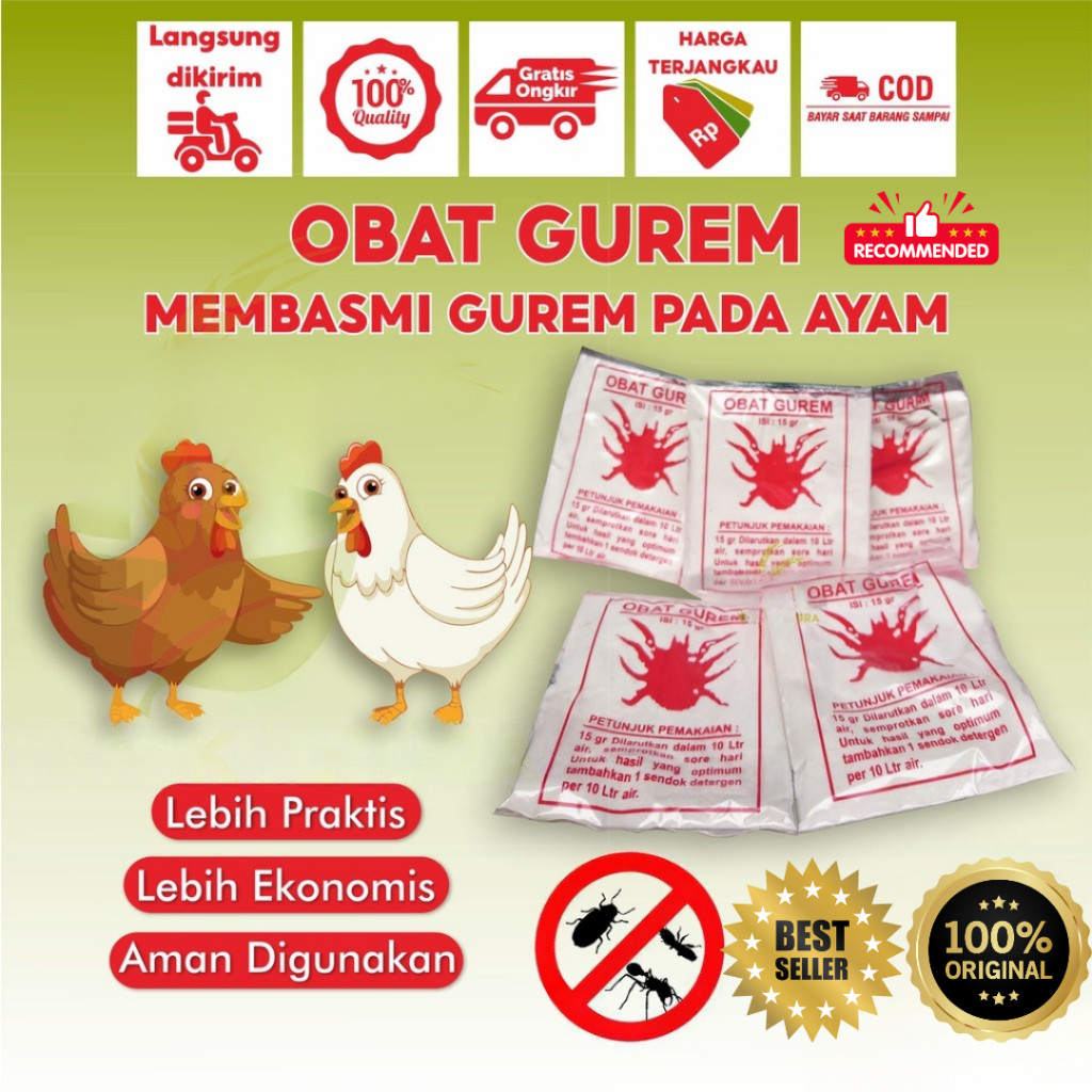 [YOK] Obat Gurem Ayam Semprot Ampuh Membasmi Gurem dan Kutu Pada Kandang Ternak Unggas Ayam