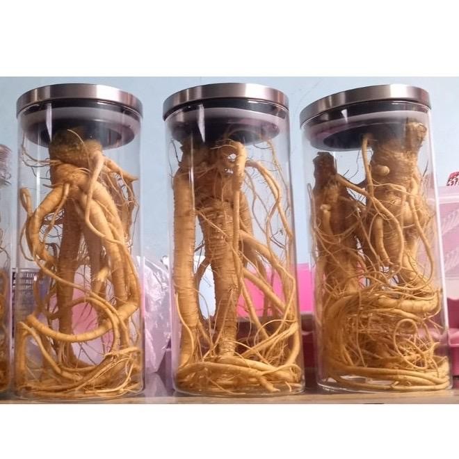 [HOMELO} ginseng merah korea Besar  dan botol 1050ml