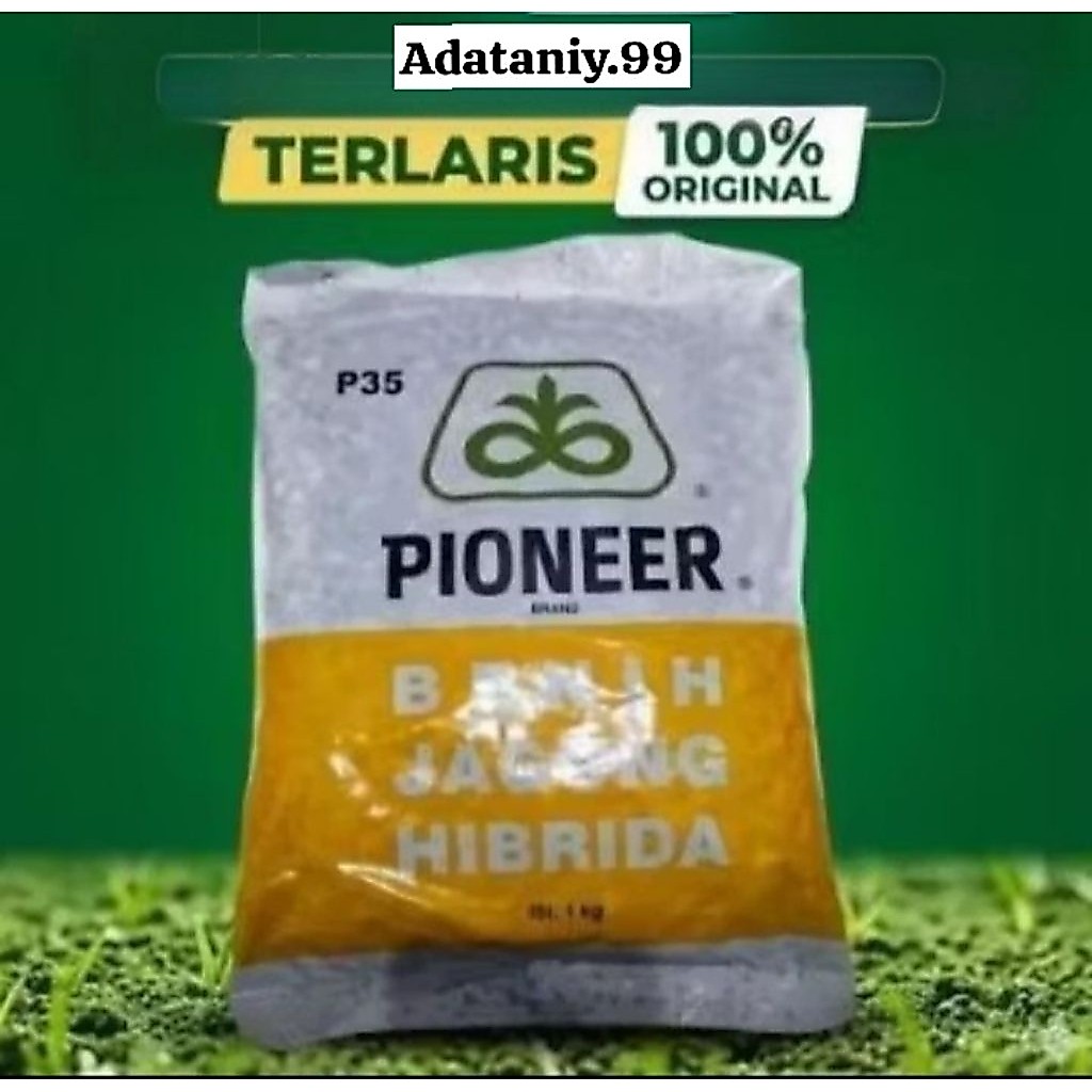 1KG | benih jagung Pioneer hibrida P35 1Kg
