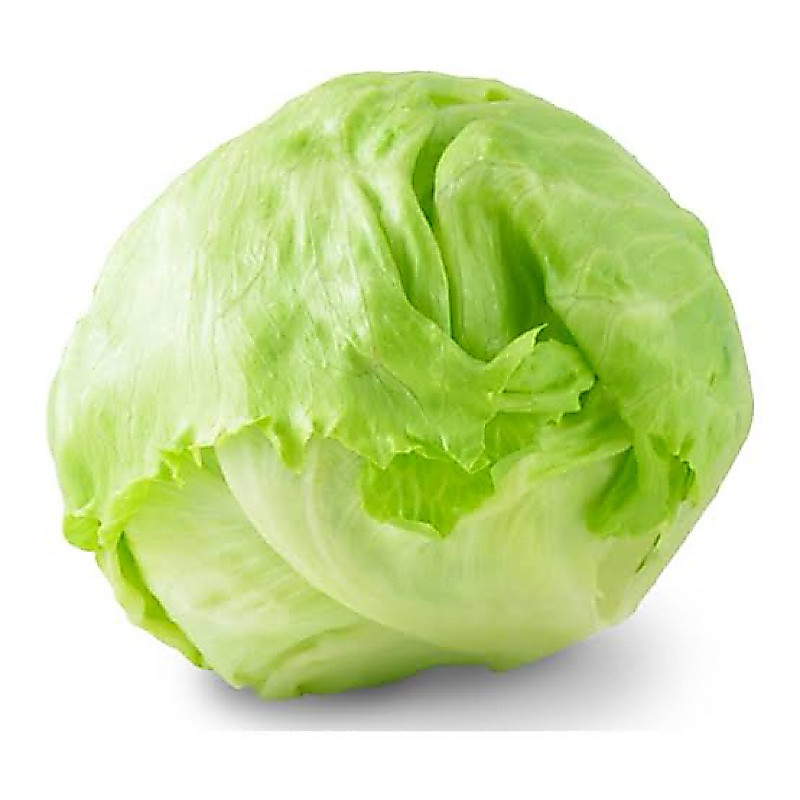 Sayuran Lettuce Head