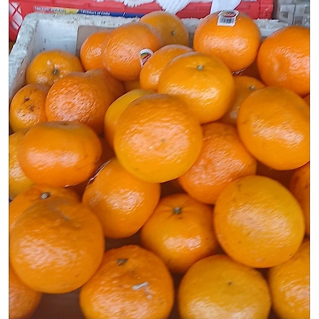 jeruk ponkam mandarin 1 kg