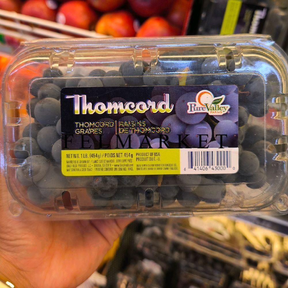 

Buah Anggur Thomcord Usa Fresh / Buah Anggur Thomcord import / Pack