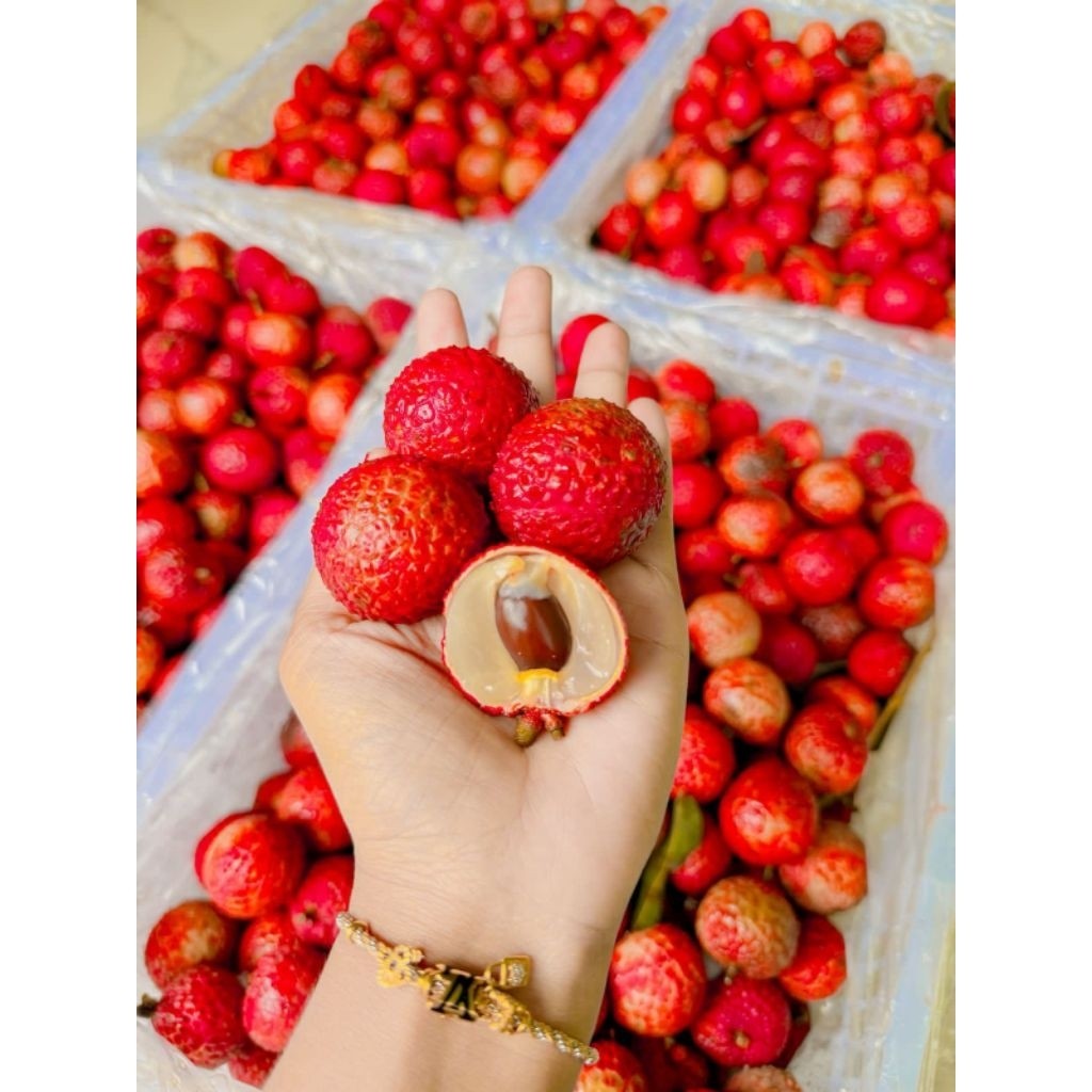 

Leci Merah Lecy madu merah surabaya instant 1kg