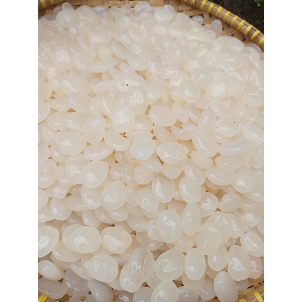 

kolang kaling segar/fresh 1kG bahan manisan terbaik