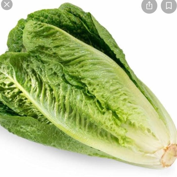Romaine Sayur Segar 250 gr