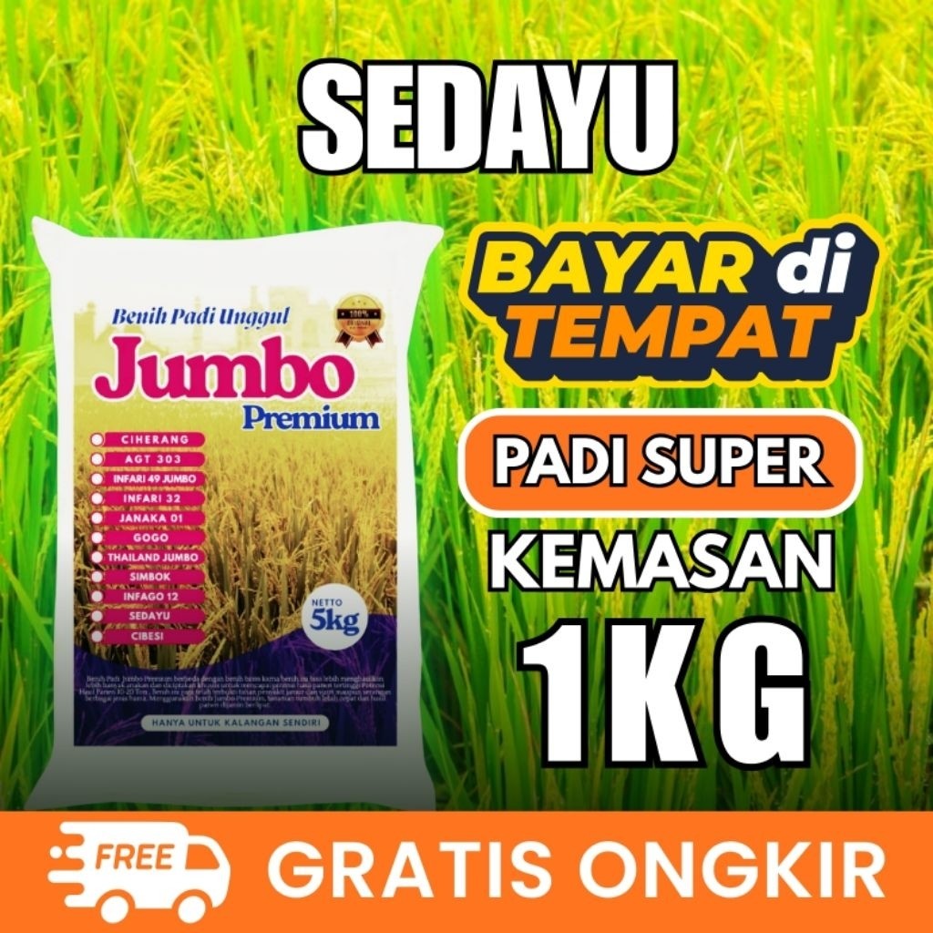 Bibit Padi Sedayu 1 Kg Berkualitas