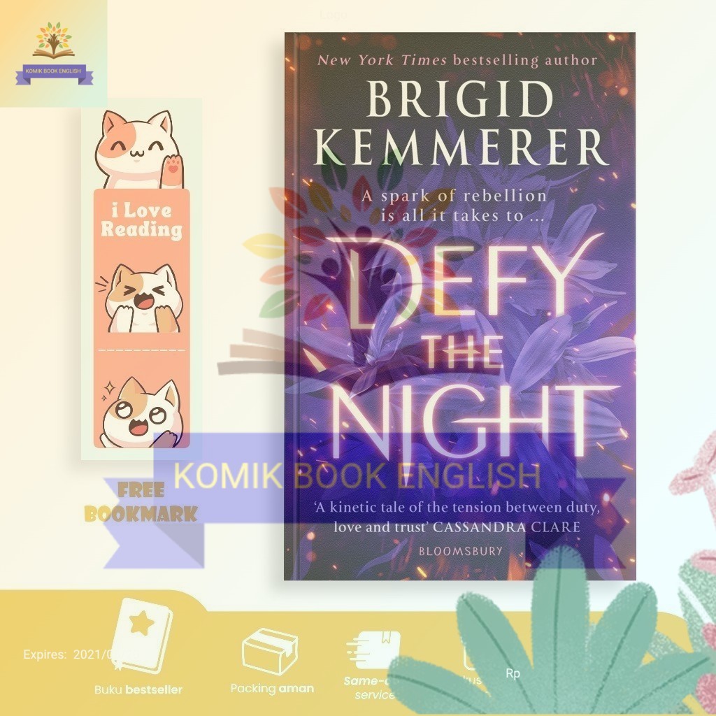 Defy the Night by Brigid Kemmerer