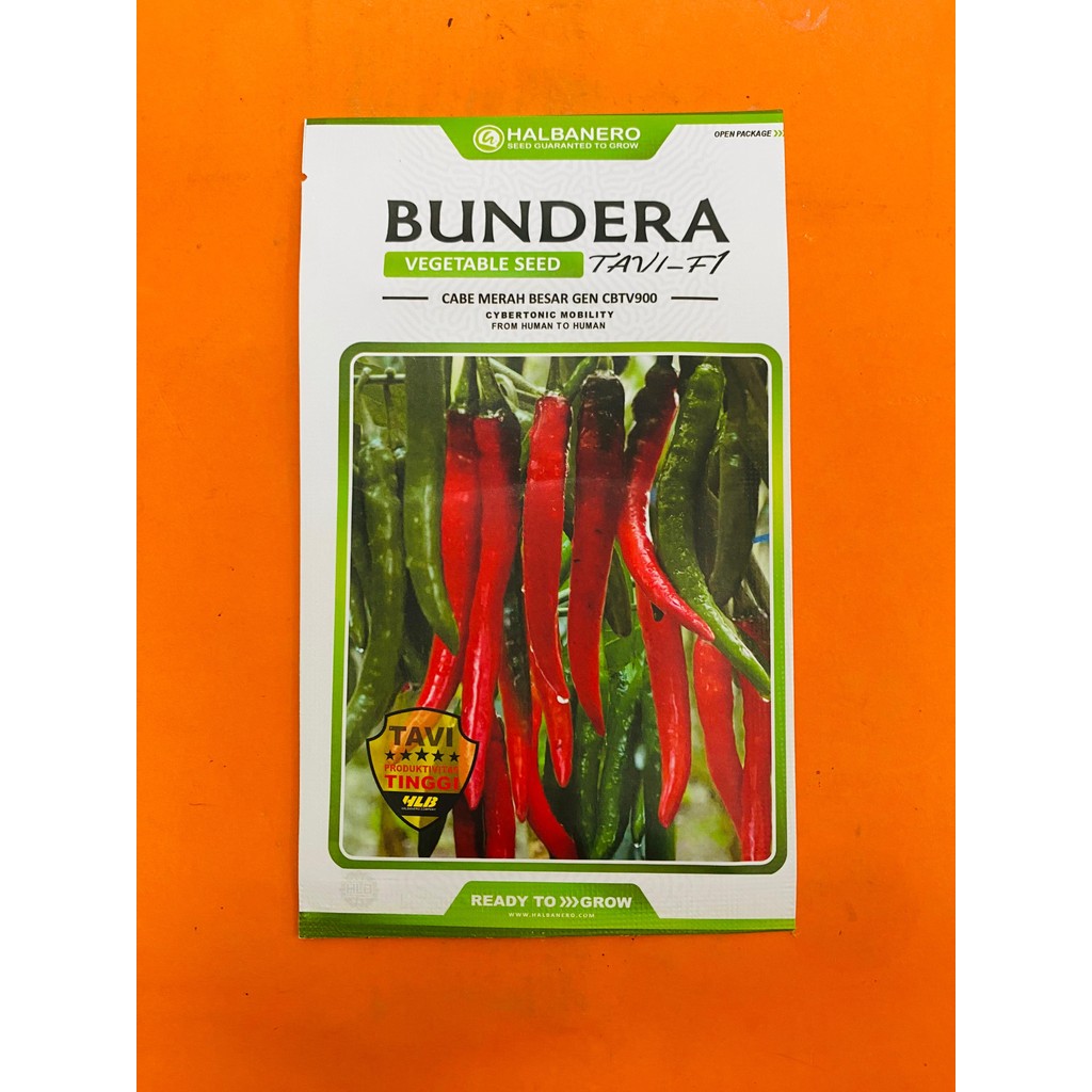 Benih cabai besar gen cbtv900 BUNDERA TAVI F1 isi 1600 biji anti virus dari HALBANERO