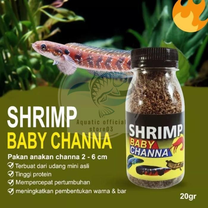 Udang kering pakan burayak chana / baby shrimp / udang kering / pakan chana / pakan burayak / pakan 