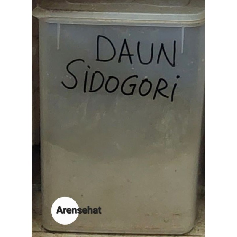 

Sidoguri Bubuk 100gr Premium