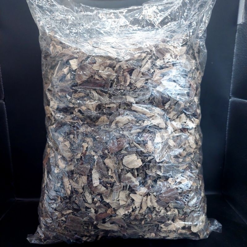 

500gr Daun Bidara Arab Kering Premium