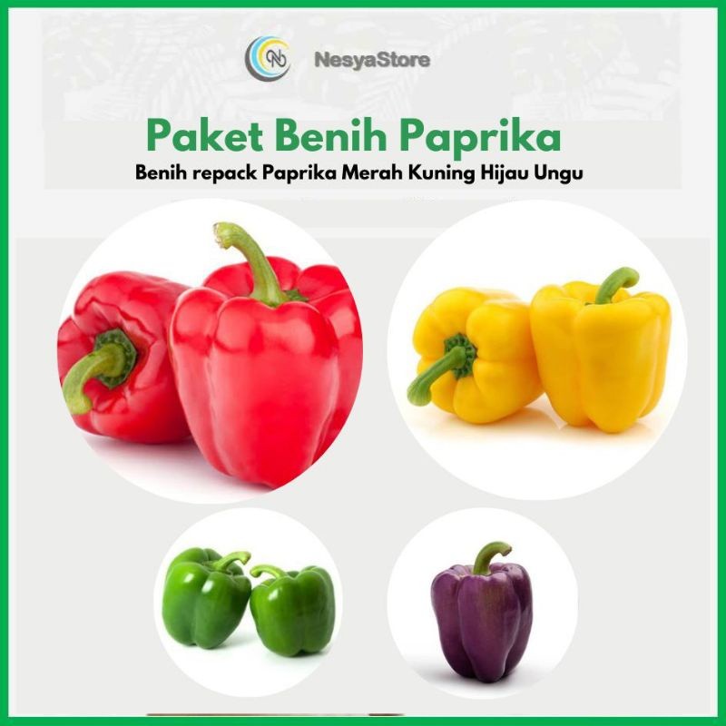 Paket Benih Paprika Merah Kuning Hijau Ungu Benih Paprika Benih Buah Paprika