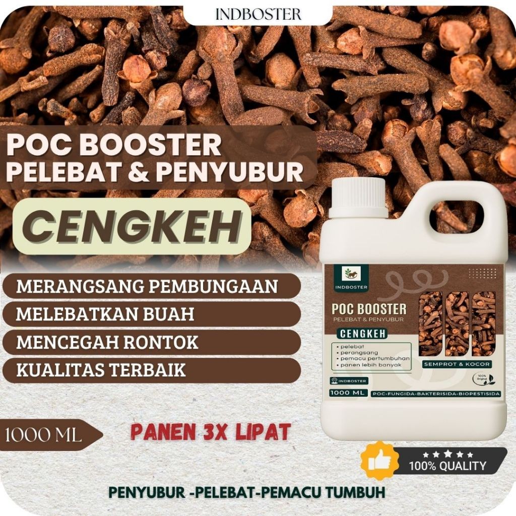 Pupuk Cengkeh Berbuah Lebat / Pupuk Cengkeh Cepat Berbunga / Pupuk Cengkeh Paling Bagus / Pupuk Boos