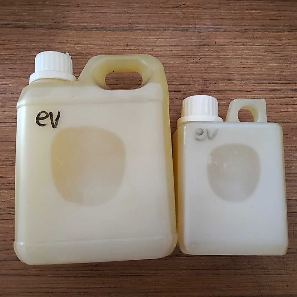 zaitun extra virgin curah minyak zaitun curah