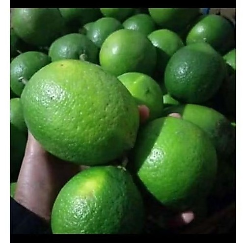 lemon california 1kg