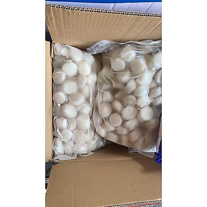 Promo Scallop /Mukimi Us/ 2.27Kg/ Usa/ Kerang Laut Terlaris