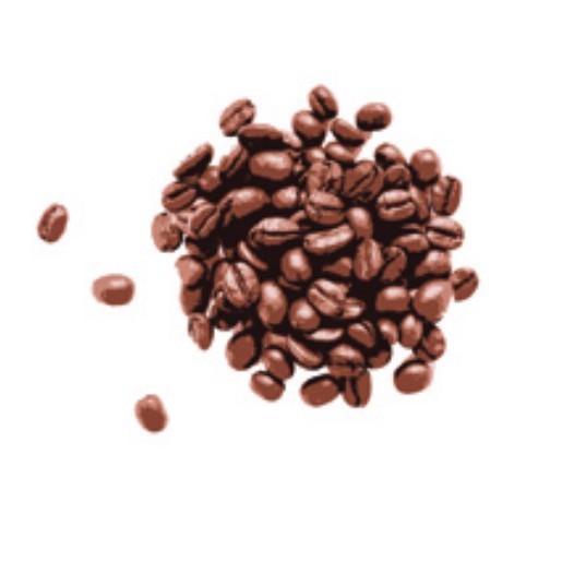 

JAMIN MURAH !!!Biji Kopi / Coffee Beans Premium 100% Arabica Bali Kintamani 200 Gram(BISA LANGSUNG ORDER)