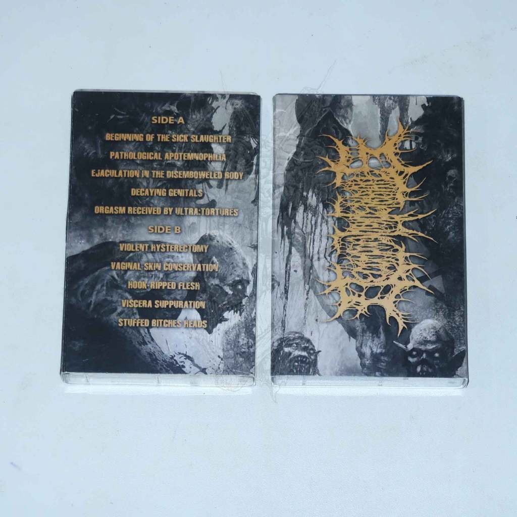 TAPE - DECOMPOSITION OF ENTRAILS - Perverted Torments