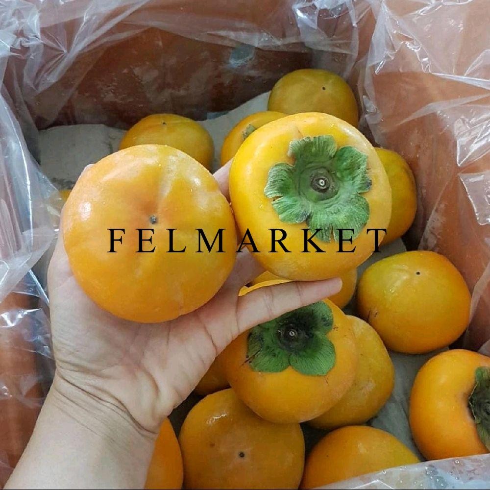 Buah Persimon Import Rrc Manis / Buah Kesemek Import / 1 Kg