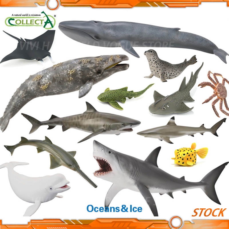 In Stock Britain Collecta Modern Marine Life Model Toy 22cm Horned Shark Manta Hammerhead Shark Seal