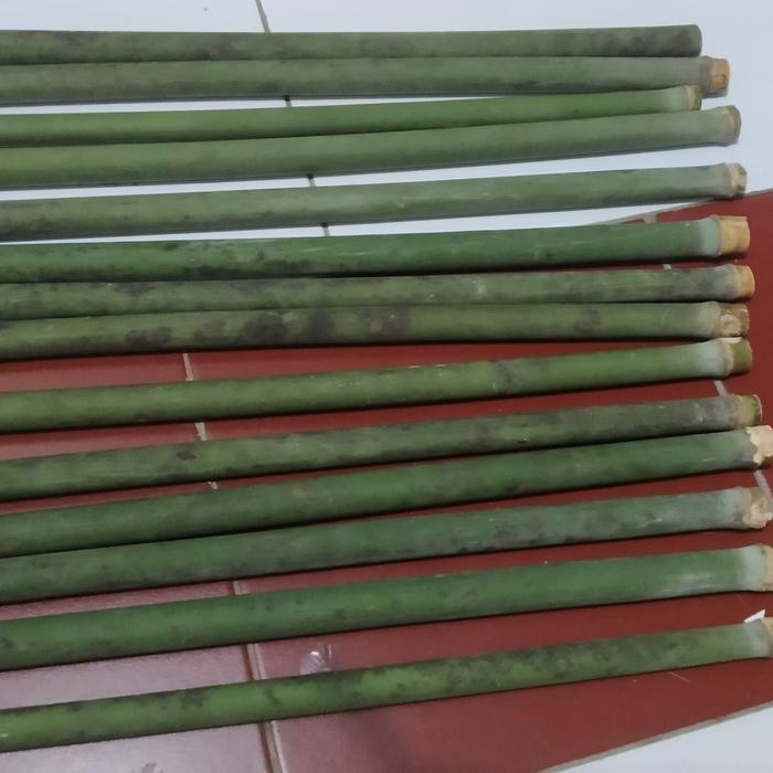 c0d bambu tamiang suling bahan suling isi 10 batang