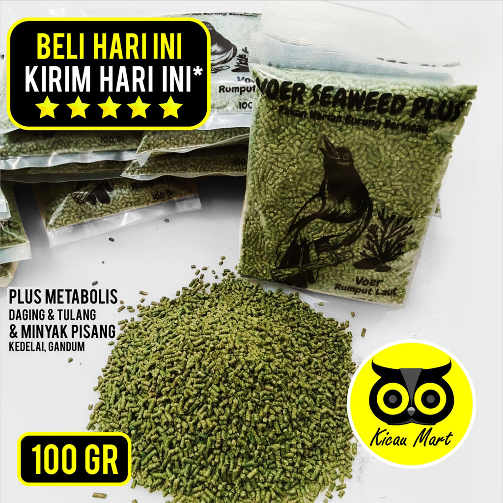 KICAU MART Voer Seaweed Plus Metabolis Minyak Pisang Soybean Mix Pur Kasar Rumput Laut Hijau Pakan M