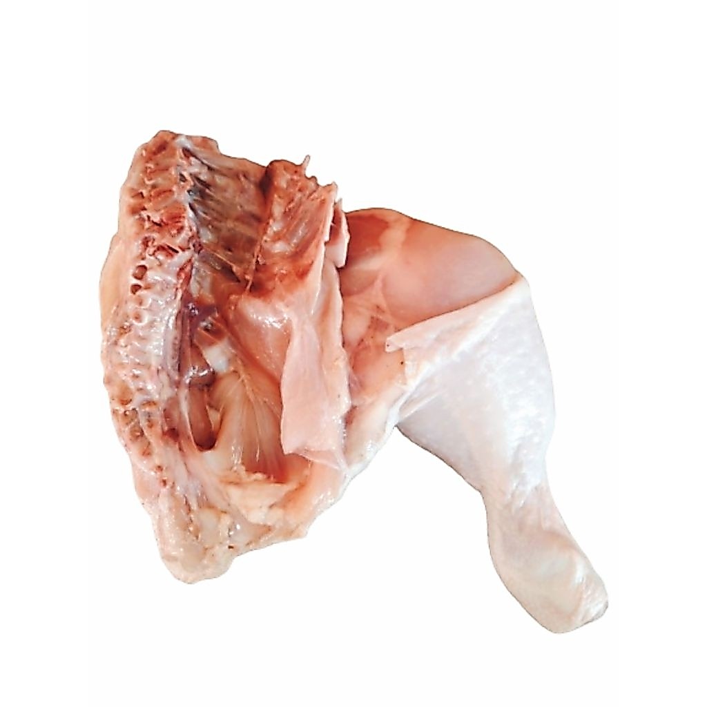 paha karkas ayam 1kg