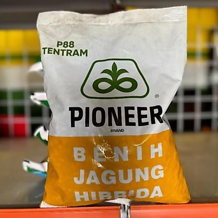 BENIH JAGUNG HIBRIDA PIONEER P88 TENTRAM KEMASAN 1KG ORIGINAL