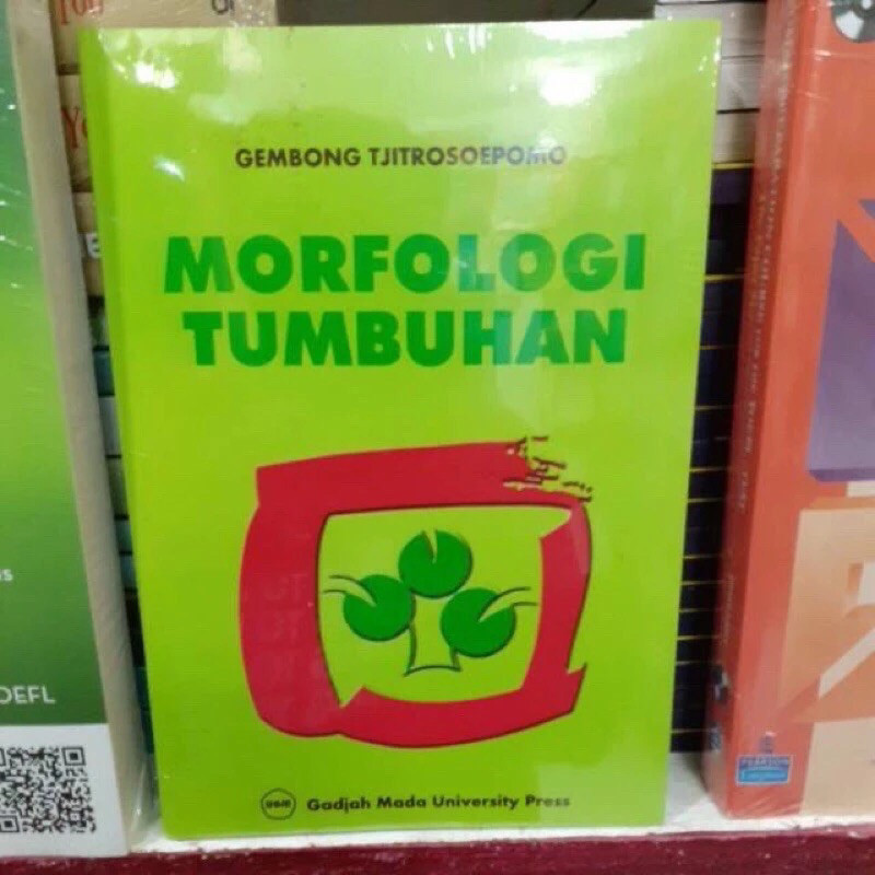 Morfologi Tumbuhan