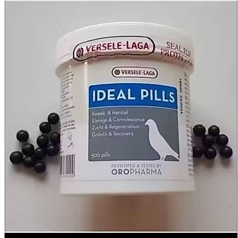 IDEAL PIL VERSELE LAGA VITAMIN DOPING BURUNG MERPATI IMPORT