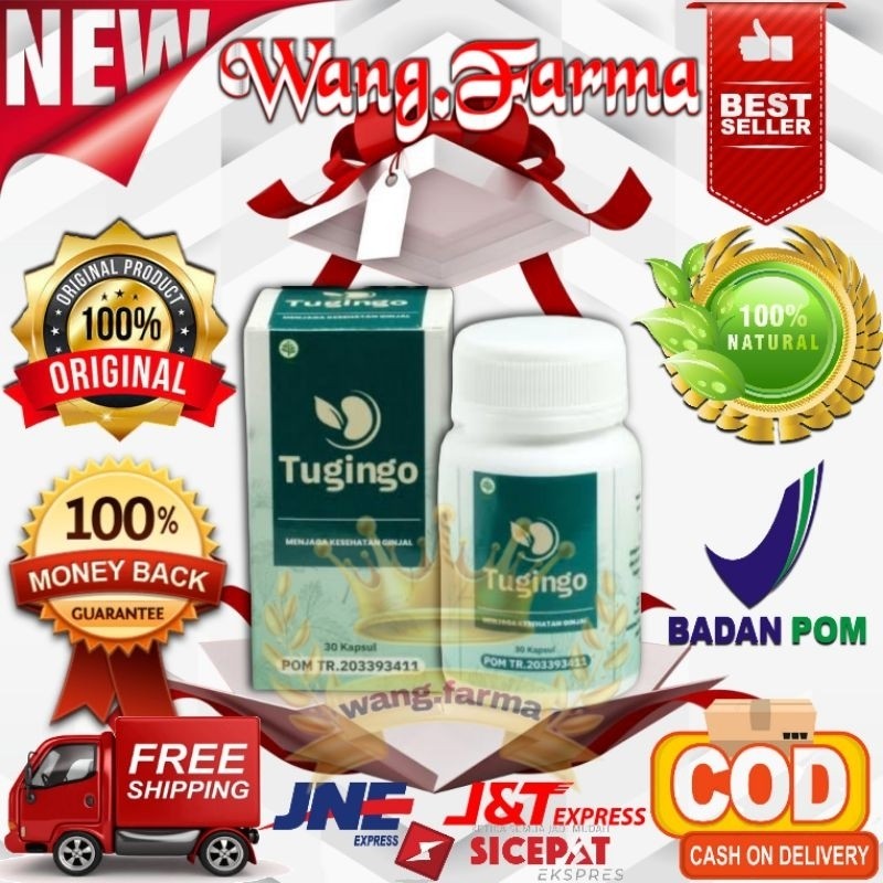 Tugingo Obat Herbal Atasi Batu Ginjal Ginjal Kronis Gagal Ginjal Ginjal Bocor Ginjal Infeksi