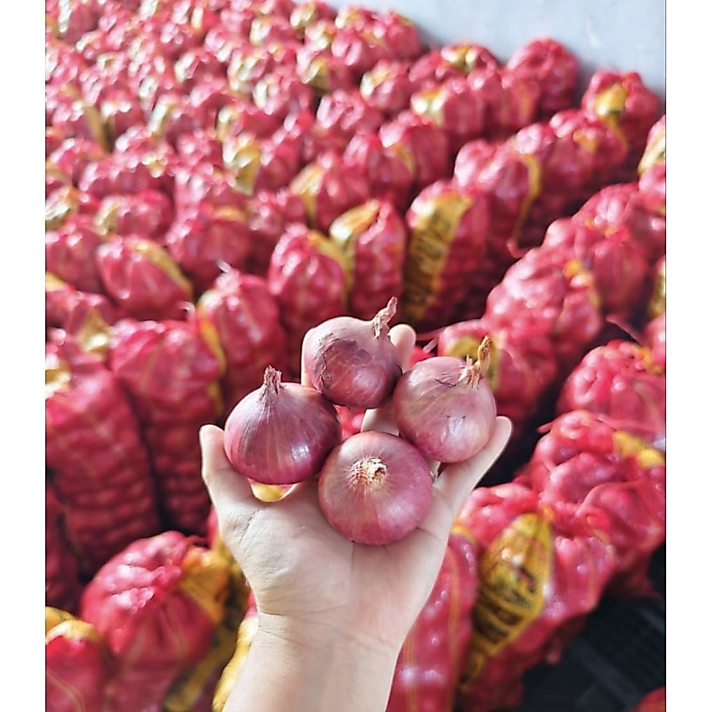 BAWANG INDIA