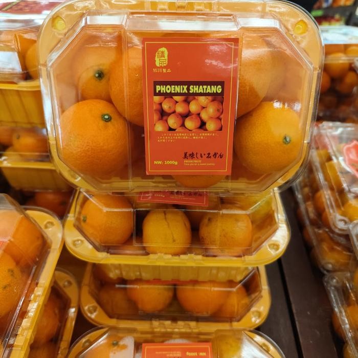 

Jeruk santang phoenix super | jeruk phoenix sahatang fresh pack 1 kg