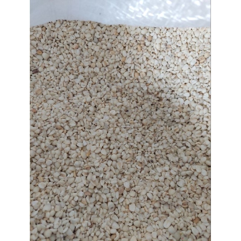 

1Kg Jali Jali Aceh Super Premium