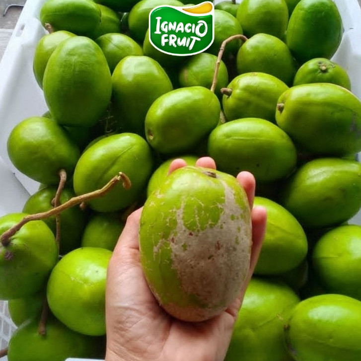 [INSTAN] KEDONDONG BANGKOK JUMBO SUPER FRESH