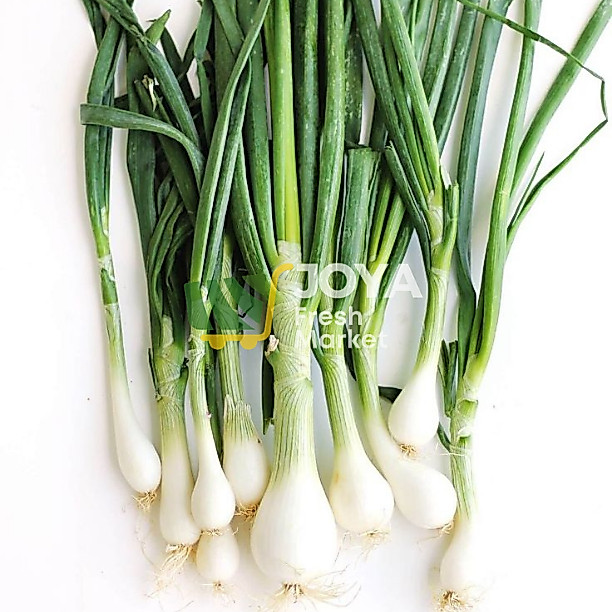 Joya Fresh - Daun Bawang Batak/Lokio Segar
