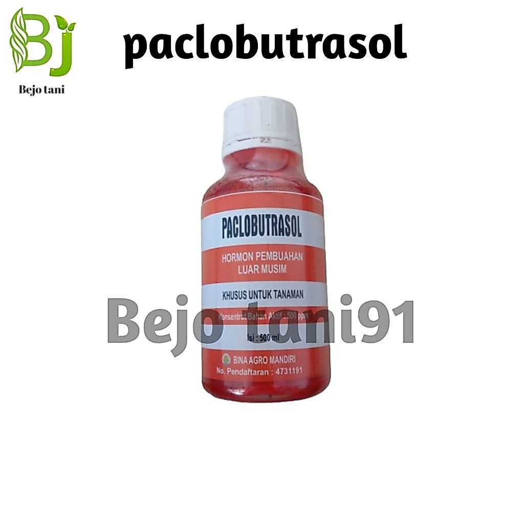 ZPT Hormon Pembuahan luar musim paklobutrazol kemasan 500 ml