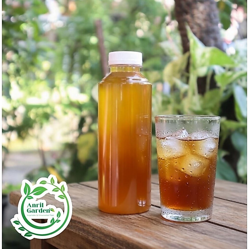Sirup jeruk limau/ Syrup jeruk sonkit/sirup jeruk sambal Pontianak homemade 250ML
