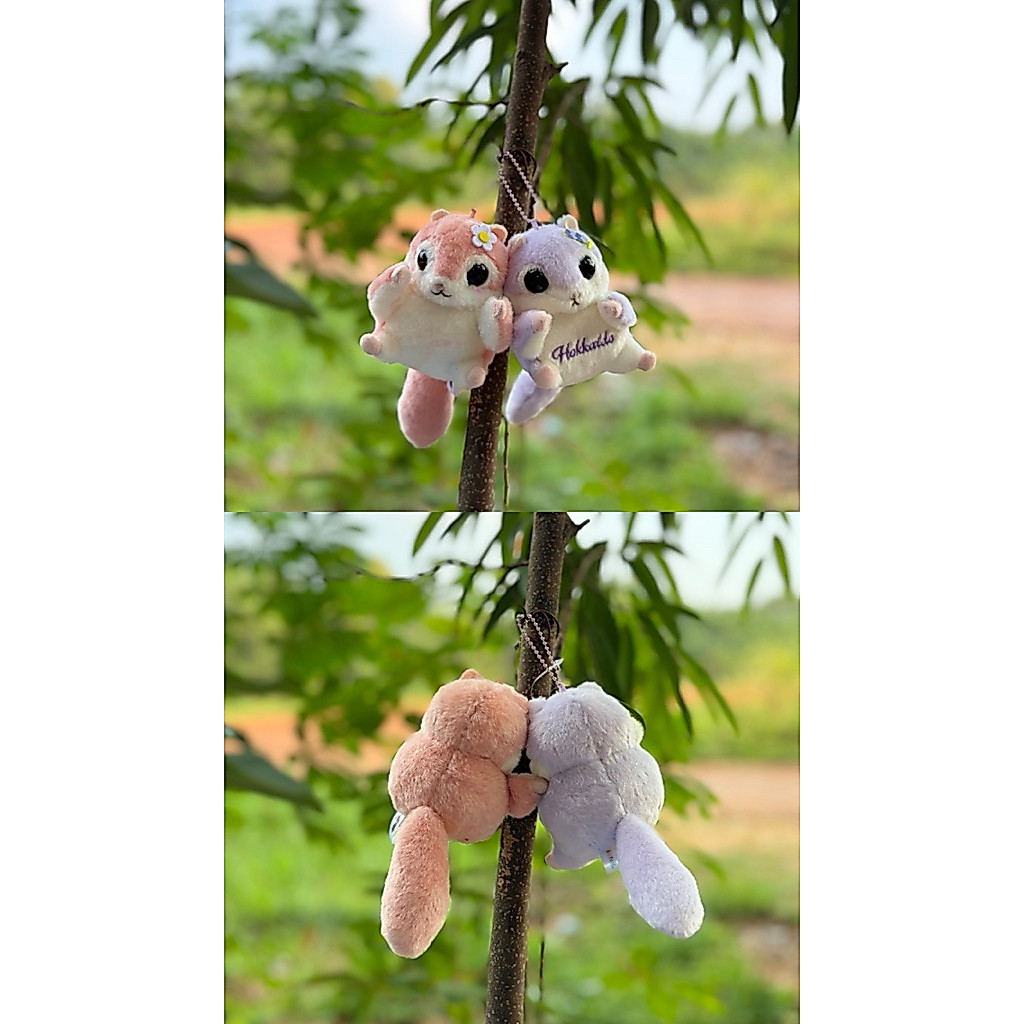 Ganci Tupai Amuse,Ganci Amuse,Ganci Amufun Amuse