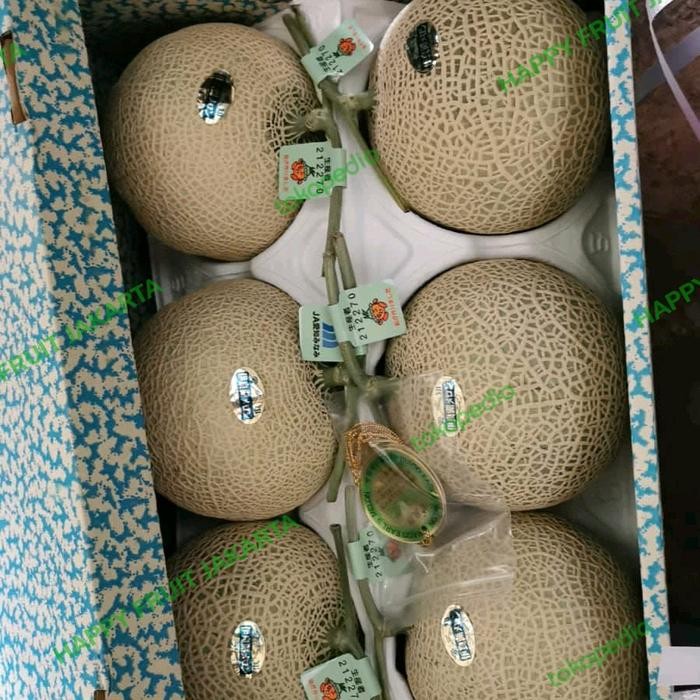 

Melon Cantalop jumbo Original Jepang / pics