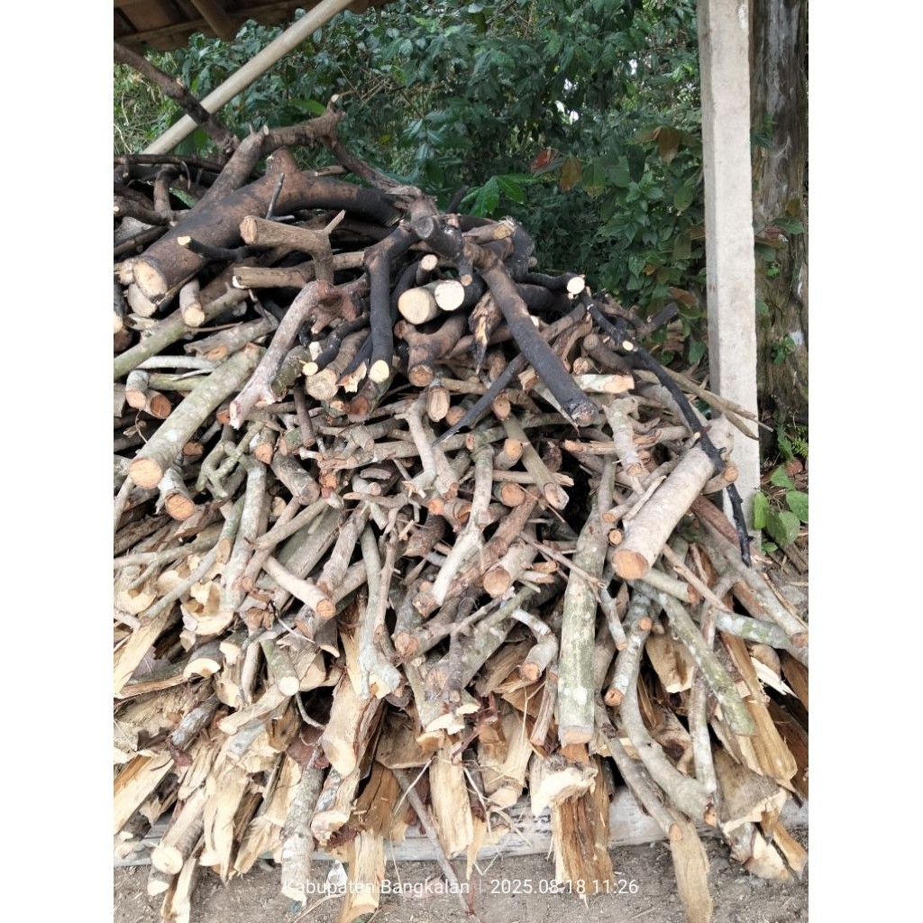 kayu bakar dari ranting pohon 2 kg JOO42