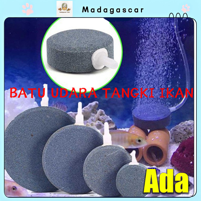[MADA]Batu Aerasi Air Stone Aerator dengan Ukuran 7 cm, Ada Model Bulat dan Pipih – Tipe ASP 0343