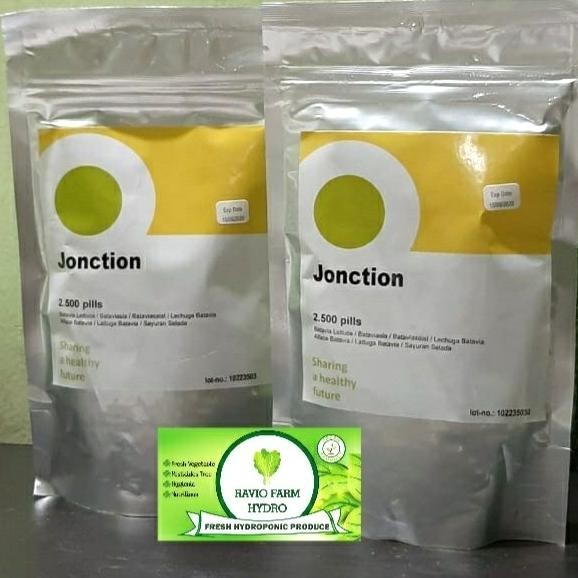 Benih Selada Batavia Junction RZ @2500 pills