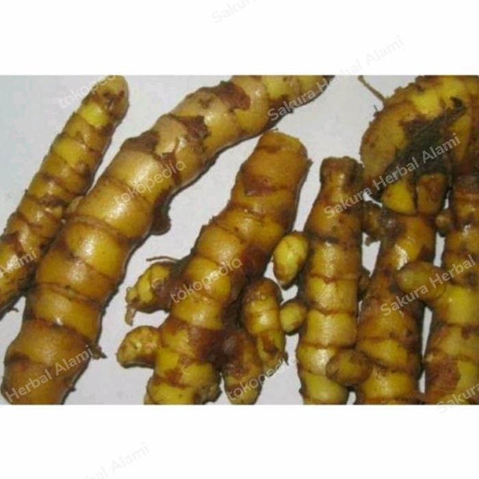 

Promo temu giring segar 500gram temu giring asli