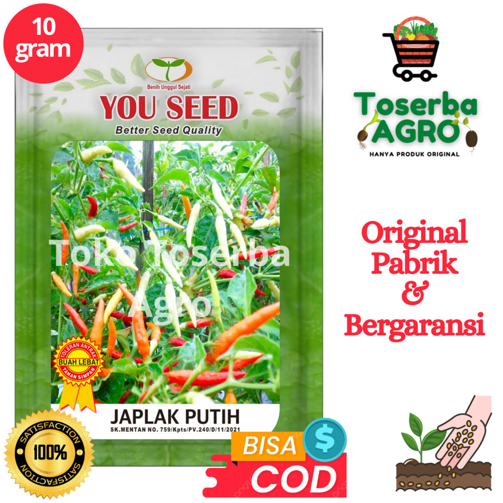 Benih Bibit Biji Cabe Rawit Patalan JAPLAK PUTIH 10g cap You seed