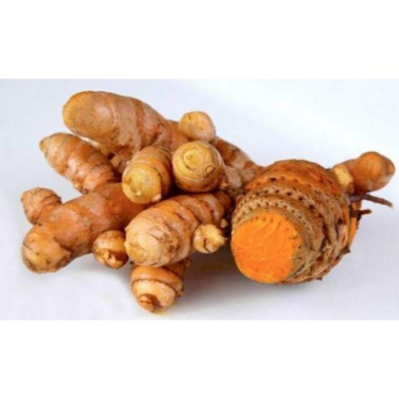 

New Promo Temulawak segar 1kg temu lawak umbi basah fresh COD --