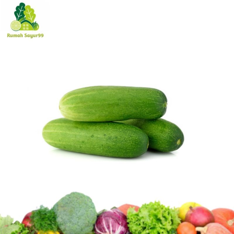 

Timun Segar ( 250gr - 1kg ) | Mentimun Segar Premium Grade Berkualitas