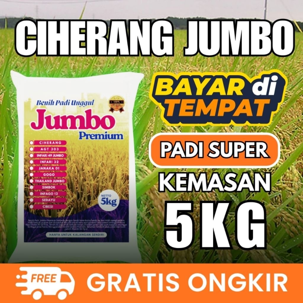 Bibit Padi Ciherang Jumbo 5kg Berkualitas