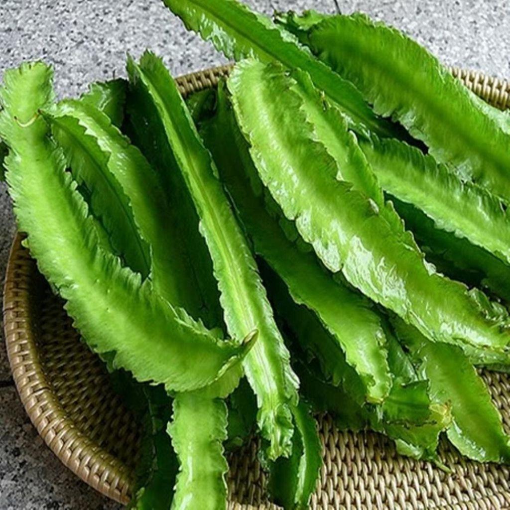 ( 100 gram ) Benih kecipir | bibit biji kecipir lalap | bibit botor