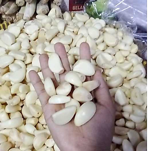 Bawang Putih Kupas bersih 1 Kg pasar induk Segar - Pasar Kuta